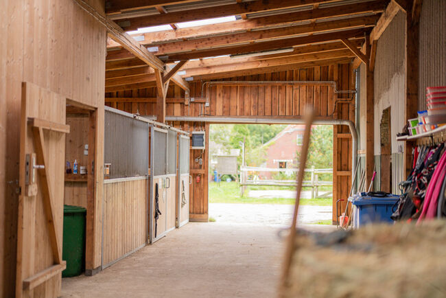 Niedersachsen, Ostfriesland, nahe Wittmund - Reiter/-Ferienhof zu verkaufen, Sabine Wesseln (Maras World of Horses, Maras World Solutions S.L.), Nieruchomości jeździeckie, Wittmund, Image 2