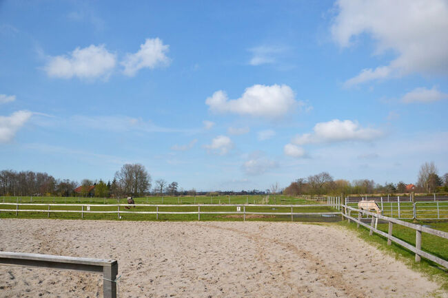 Niedersachsen, Ostfriesland, nahe Wittmund - Reiter/-Ferienhof zu verkaufen, Sabine Wesseln (Maras World of Horses, Maras World Solutions S.L.), Nieruchomości jeździeckie, Wittmund, Image 5