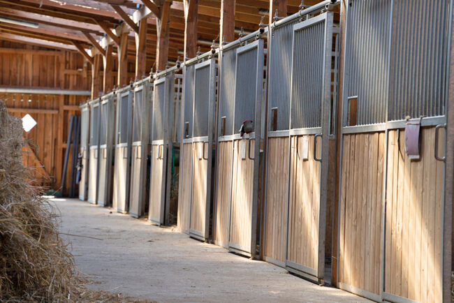 Niedersachsen, Ostfriesland, nahe Wittmund - Reiter/-Ferienhof zu verkaufen, Sabine Wesseln, Maras World of Horses, Nieruchomości jeździeckie, Wittmund, Image 3