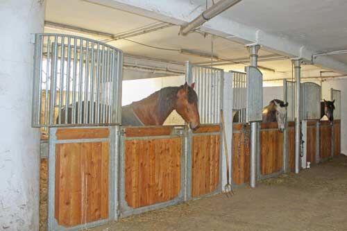 Niedersachsen, Wurster Nordseeküste - Gutshof mit Wohnungen, Pferdestall + Reithalle zu verkaufen, Sabine Wesseln, Maras World of Horses (Maras World of Horses, Maras World Solutions S.L.), Nieruchomości jeździeckie, Wurster Nordseeküste, Image 3