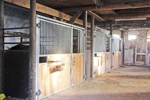 Niedersachsen, Wurster Nordseeküste - Gutshof mit Wohnungen, Pferdestall + Reithalle zu verkaufen, Sabine Wesseln, Maras World of Horses (Maras World of Horses, Maras World Solutions S.L.), Nieruchomości jeździeckie, Wurster Nordseeküste, Image 4