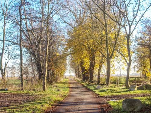 Niedersachsen, Wurster Nordseeküste - Gutshof mit Wohnungen, Pferdestall + Reithalle zu verkaufen, Sabine Wesseln, Maras World of Horses (Maras World of Horses, Maras World Solutions S.L.), Nieruchomości jeździeckie, Wurster Nordseeküste, Image 7