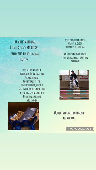 Hofturnier 2025, Stella , Courses & Seminars, Falkenberg