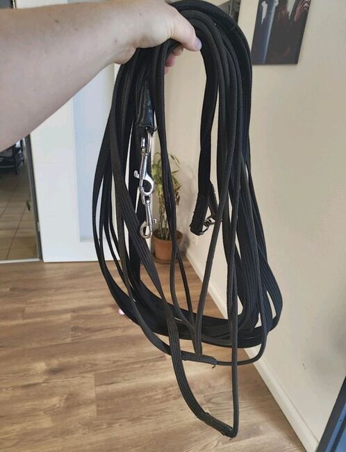 Doppellonge, Doppellonge , Kiecol, Longieren, Schwanewede