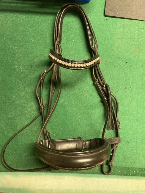 Kandarenzaum, Angelika Ebner, Bridles & Headstalls, Thörl