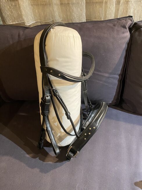 Kandarenzaum Swarovski, Eva, Bridles & Headstalls, Gloggnitz