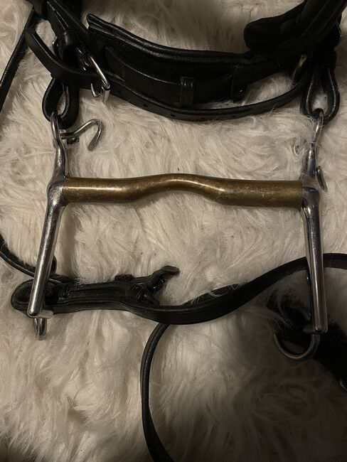 Kandare Mit oder ohne Gebiss, Euroriding Kandare und HA Aurigan Gebiss , Melanie Müller , Bridles & Headstalls, Selb, Image 2