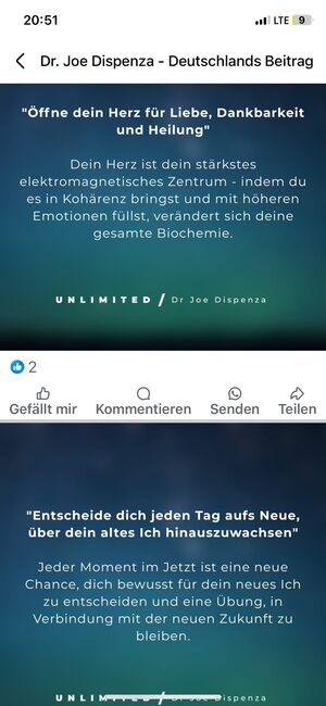 Double Dee Westernsattel, Double Dee, Alicja Nees, Western Saddle, Linkenheim-Hochstetten, Image 11