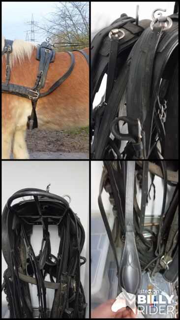 Zweispänner Geschirr von Ideal, Größe Cob, Ideal Zweispänner, Andrea Kannegießer , Horse Harness, Sankt Augustin , Image 8