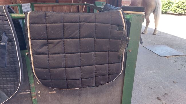 DR Schabracke, Kathi, Dressage Pads, Vechta, Image 2