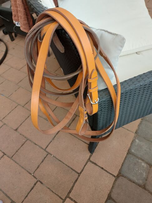 Kutschgeschirr COB / Fahrgeschirr Einsp., Nadja Sorge, Horse Harness, Flensburg, Image 8