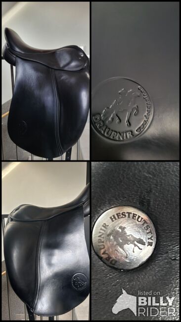 Draupnir Embla Sattel, Draupnir Embla, Alexandra Westphal, Icelandic Saddle, Schönwalde-Glien, Image 5