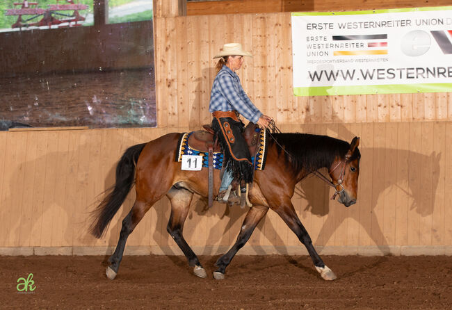 Traumpferd mit Charme, Kerstin Rehbehn (Pferdemarketing Ost), Horses For Sale, Nienburg