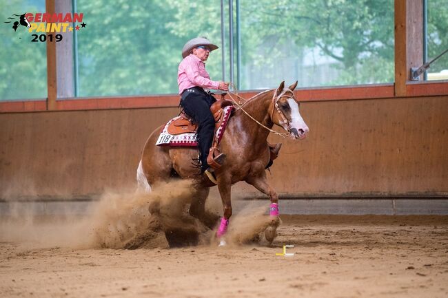 Traumhafte, erfolgreich geshowte Quarter Horse Stute, Kerstin Rehbehn (Pferdemarketing Ost), Horses For Sale, Nienburg, Image 2