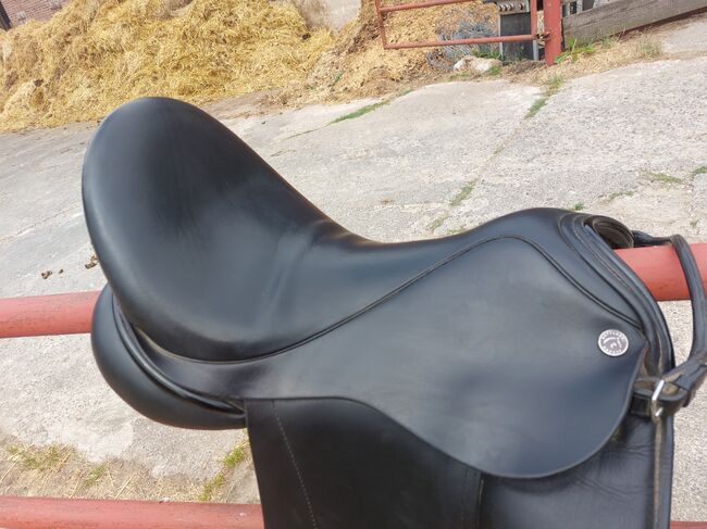 Dresch Dressursattel, Dresch XT Phoenix, A. Kräft, Dressage Saddle, Overath, Image 9