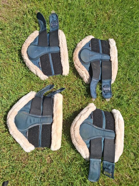 Dressurgamaschen Felix Bühler Cob front, Felix Bühler Essentials, Sylvia, Tendon Boots, Twistetal
