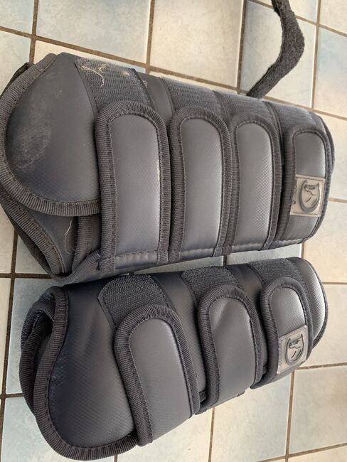 Dressurgamaschen Riders Deal WB, Riders Deal, Sylvia Ratzka, Tendon Boots, Alsfeld