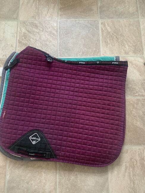 Dressage pads, All different , Louise Ferguson, Czapraki, Image 2