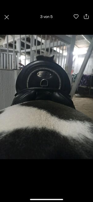 Dressur Sattel 14 Zoll Shetty Pony, Tyson Breeches Beauty, Emilia, Dressage Saddle, Oberhausen , Image 3