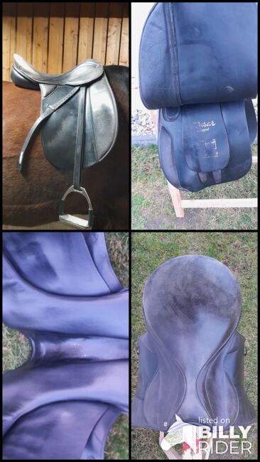 Dressursattel 17/17,5 Zoll, Kasur Spezial Dressursattel 17/17,5 Zoll, M. Schiemenz , Dressage Saddle, Jessen (Elster) Gorsdorf-Hemsendorf, Image 14