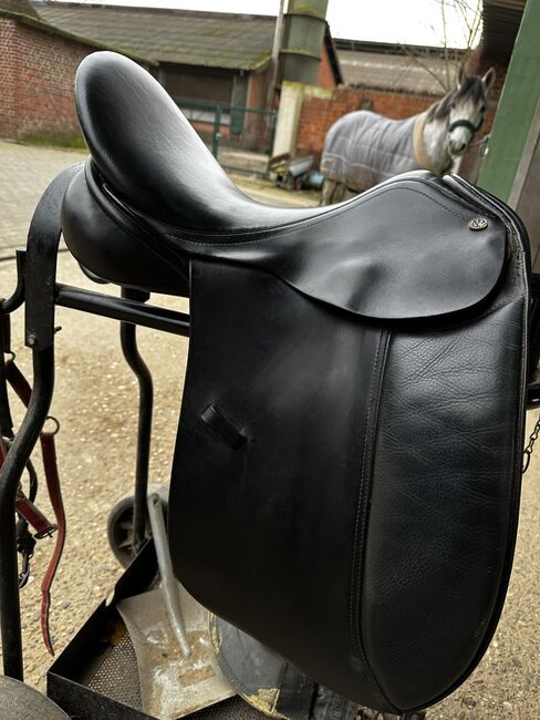 Dressursattel 17 Zoll princeville, Princeville , Esther , Dressage Saddle, Neuss, Image 2