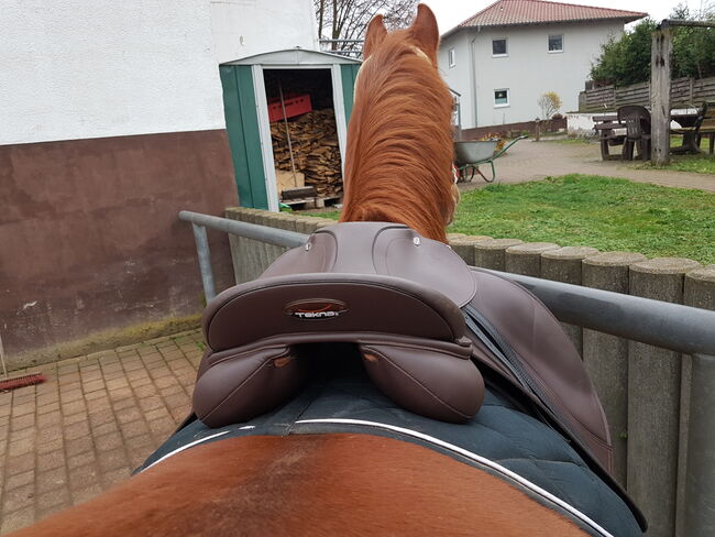 Dressursattel, 17 Zoll, Tekna, braun, Tekna  Icelandik, s-line, Heike Oestern , Dressage Saddle, Zellertal, Image 3