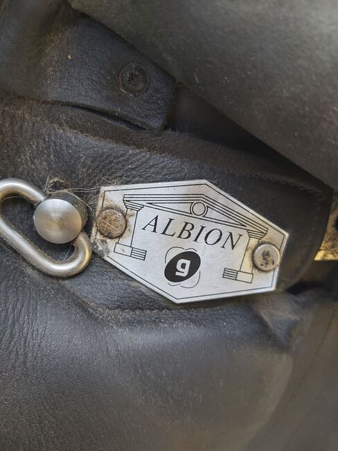 Dressursattel Albion Platinum NS EUROPA, Albion Platinum NS Europa, Linda Trost, Dressage Saddle, Aurach, Image 3