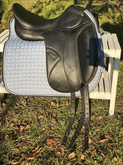 Dressursattel Amerigo Dressage Classic 17,5 schwarz, Amerigo  Dressage Classic , Daniela van den Berg, Dressage Saddle, Reutlingen , Image 5