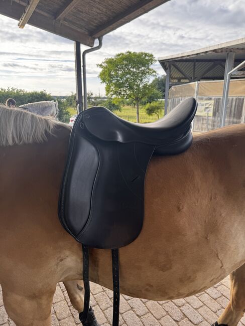 Dressursattel Schwarz, Seabis Estrid , Lena Kneisel, Dressage Saddle, Ravensburg 