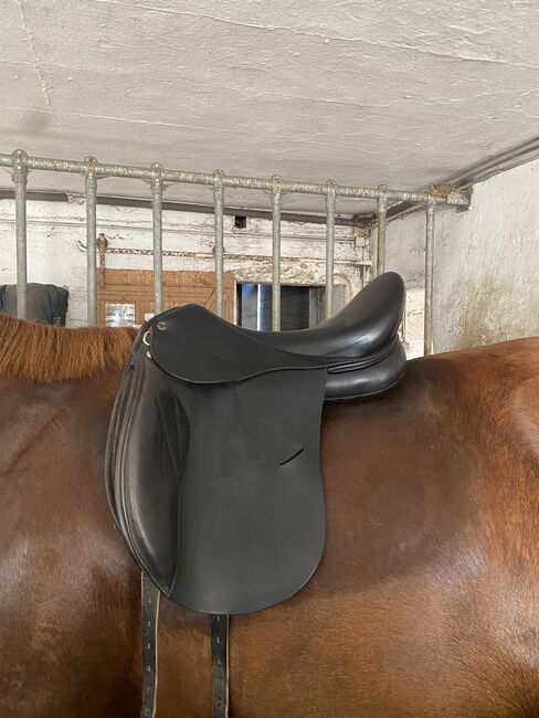 Dressursattel Busse basel 18 Zoll, Busse  Basel , Lucy Seifert, Dressage Saddle, Wetzlar , Image 5