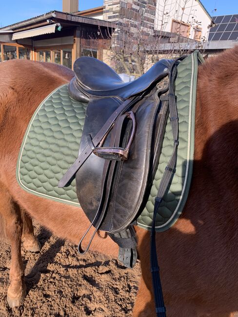 Dressursattel - County Competitor - 16,5, County Competitor , Michaela , Dressage Saddle, Merkendorf, Image 2