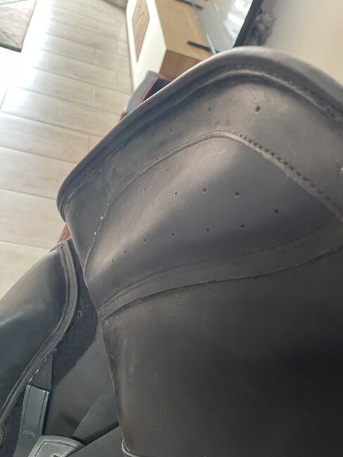 Dressursattel, Erreplus Impuls , Caputo Andrea, Dressage Saddle, Aurachtal, Image 6