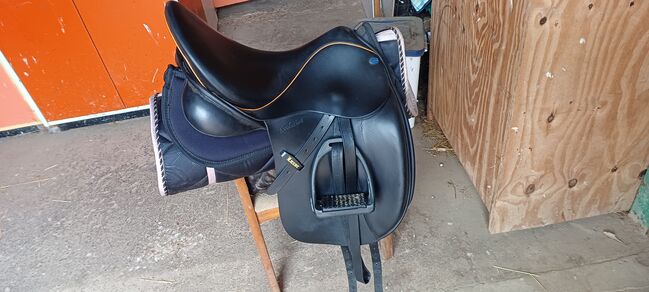 Dressursattel EuroRiding 17,5, EuroRiding  Luxor Evolution, Sandra Marschke, Dressage Saddle, Bad Münder