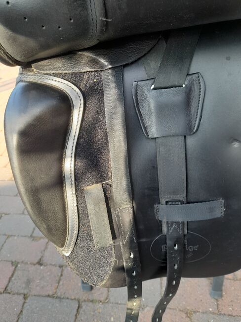 Dressursattel Euroriding Emilio, Euroriding  Emilio, Cloe, Dressage Saddle, Schenefeld , Image 7