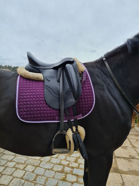 Dressursattel Euroriding Rebell 17,5, Euroriding Rebell, Christina Braun , Dressage Saddle, Diemelstadt, Image 8