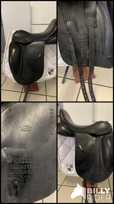 Dressursattel Euroriding Titan, Euroriding  Titan , Ramona , Dressage Saddle, Nienstädt , Image 17