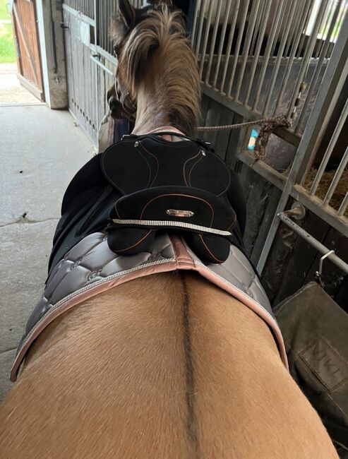 Dressursattel von Zaldi, Zaldi, Nadine, Dressage Saddle, Katzenelnbogen, Image 4