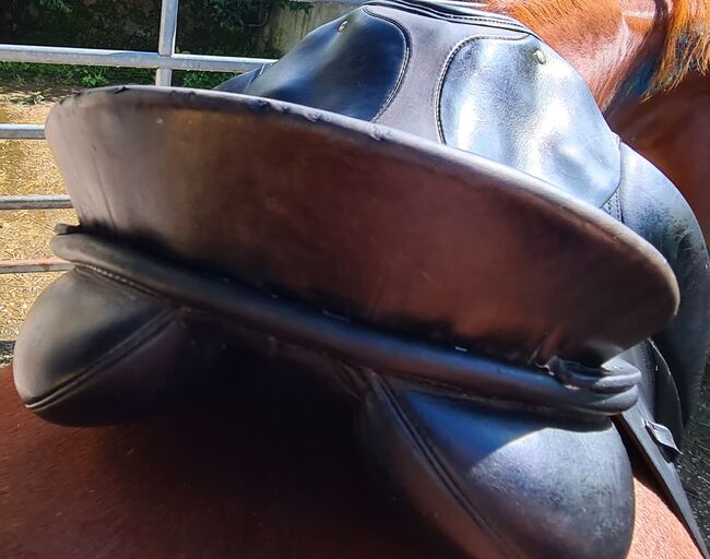 Dressursattel 'Grand Gilbert' Passier, Passier Dressursattel Grand Gilbert , Djana Verhoeven, Dressage Saddle, Erkrath, Image 3