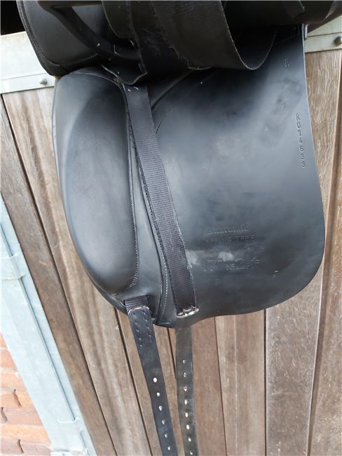 Dressursattel, Hintermayer Anatomic , Lucille Hörnike , Dressage Saddle, Groß Lüben, Image 5