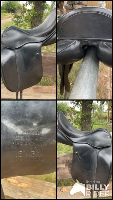 Dressursattel Hintermayer, Hintermayer Spring Tree, Lena Eisenbarth, Dressage Saddle, St Wendel, Image 10