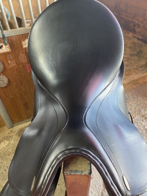Dressursattel Kentaur Kalypso 17“, Kentaur Kalypso, Liesa, Dressage Saddle, Bregenz, Image 14
