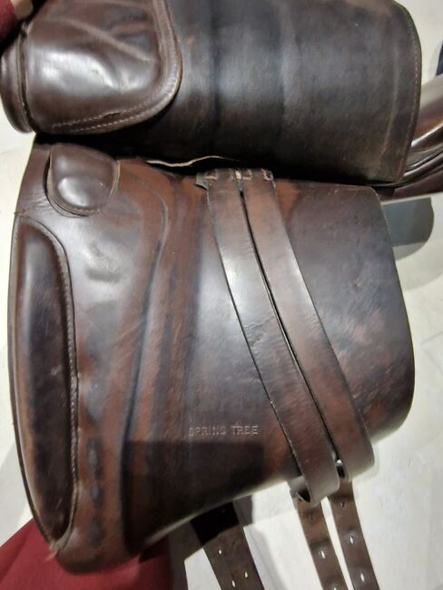 Dressage saddle- Leather spring tree, Ellise, Dressage Saddle, Worksop , Image 10