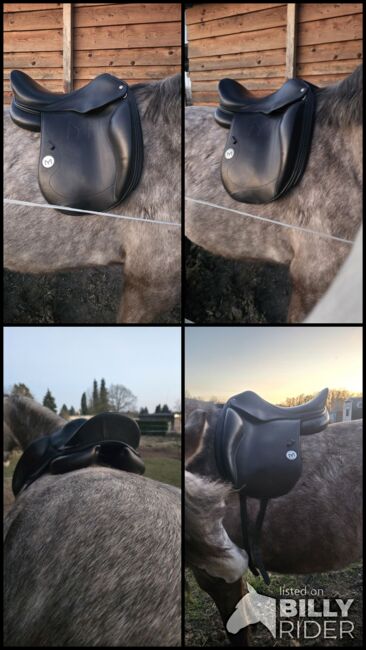 Dressursattel Meyer Selles, Meyer Selles, Hasse, Dressage Saddle, Raguhn-Jeßnitz , Image 6