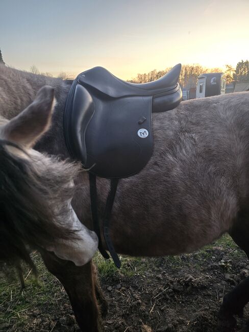 Dressursattel Meyer Selles, Meyer Selles, Hasse, Dressage Saddle, Raguhn-Jeßnitz , Image 2
