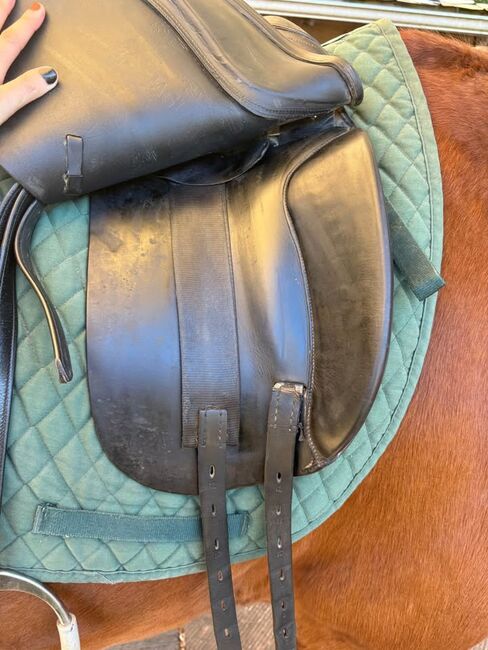 Dressage Saddle, leton, Other, Lincoln, Image 4
