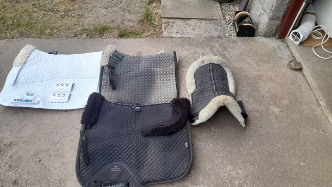 Dressage saddle pads and half pad, Stephens, Premier equine, Mattes, Mr Paul Mathieson, Dressage Pads, Peterhead, Image 3