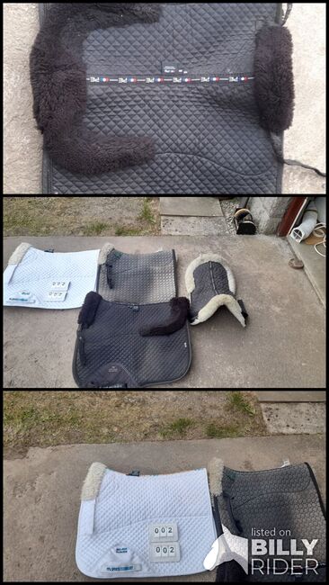 Dressage saddle pads and half pad, Stephens, Premier equine, Mattes, Mr Paul Mathieson, Dressage Pads, Peterhead, Image 4