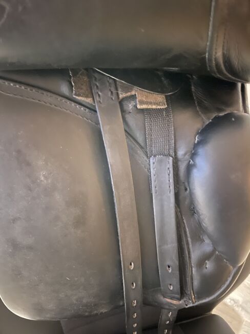 Dressursattel Passier Antares, Passier Antares, Daniela , Dressage Saddle, Meerbusch, Image 3