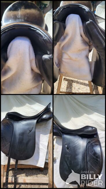 Dressursattel  Passier  Compact   Gr  2, Passier Compact, Gaby  Zbeczka, Dressage Saddle, Geestland, Image 5
