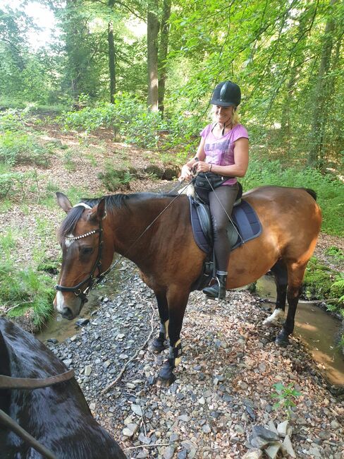 Sattel Dressur Passier Corona 2 schwarz 17“, Passier Corona 2 , Cora Pawlowske , Dressage Saddle, Halver, Image 2